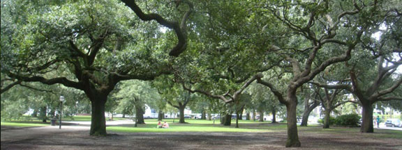 Charleston, South Carolina Park