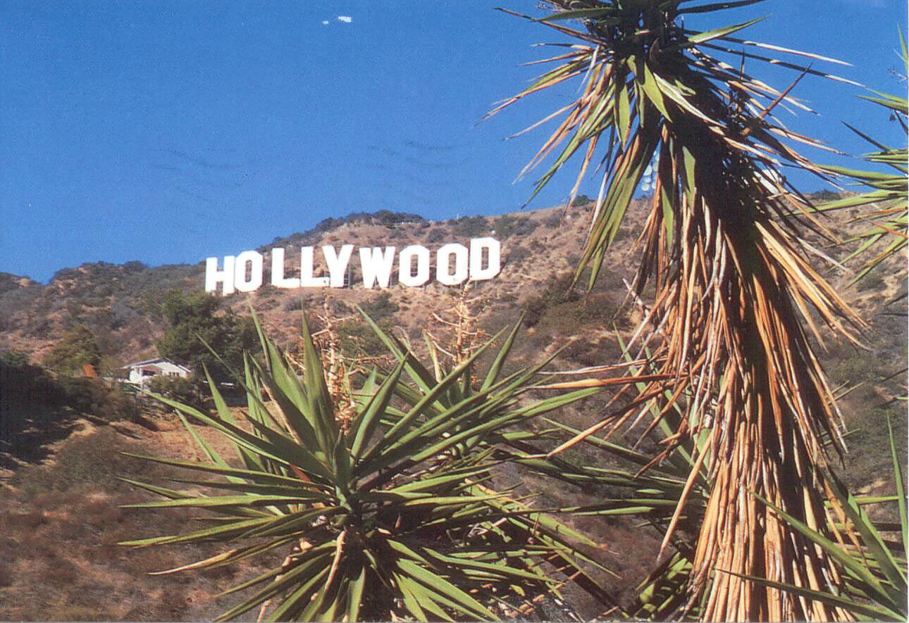 Hollywood post card Back and front 