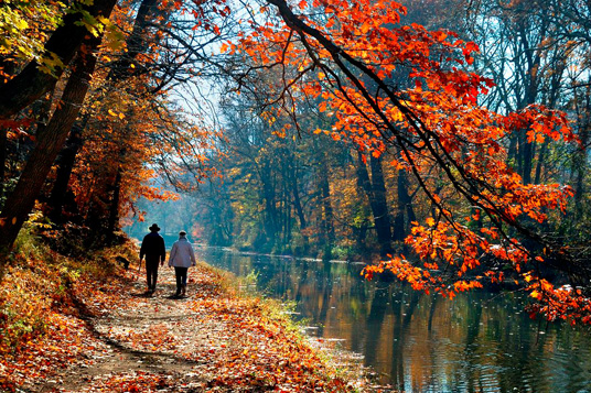 Fall Leaves Bucks County Pennsylvania