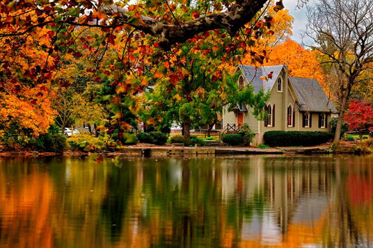 Fall Leaves Bucks County Pennsylvania 