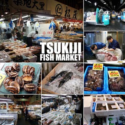 tokyo tsukiji market Tokyo Japan