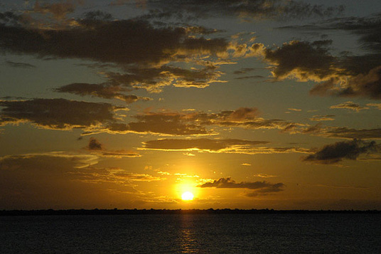 Caribbean beach palm Sunset