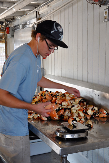 Crab Paradise in Florida kid cooking 