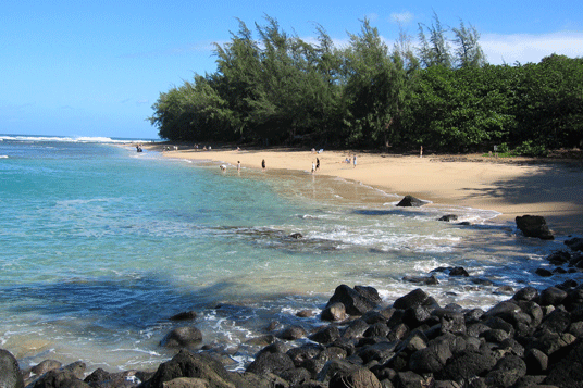 playa Feature Hawaii Beach 
