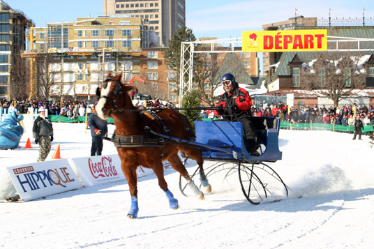 Feature Quebec Winter Carnival horse racing 