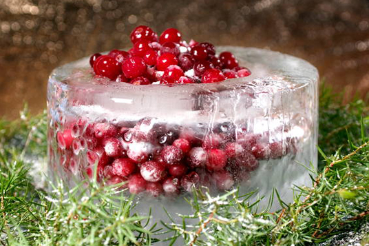 Restaurant Saaga Cranberries in an icy bowl