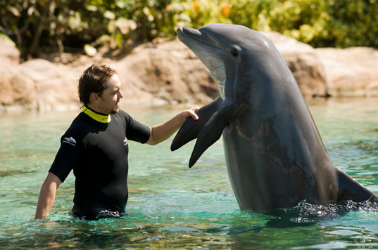Discovery Cove 2