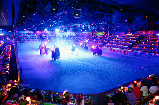 Medieval Times Dinner show