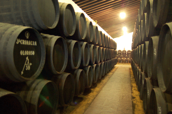 Bodegas Tradicion barrels