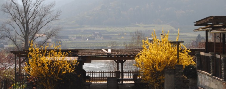 Wachau Wine Country, Austria