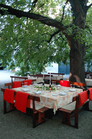 Nikolaif-Weinstube-dining-under-the-tree