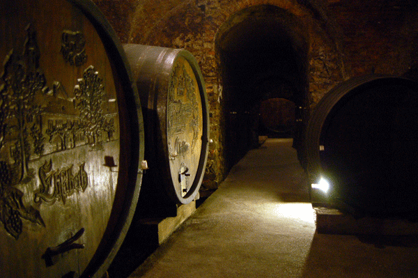 Nikolaihof-Cellar