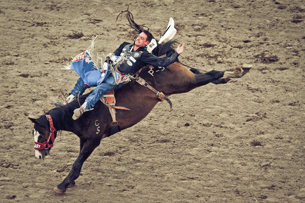 Rodeo Saddle-Bronc-at-Stampede