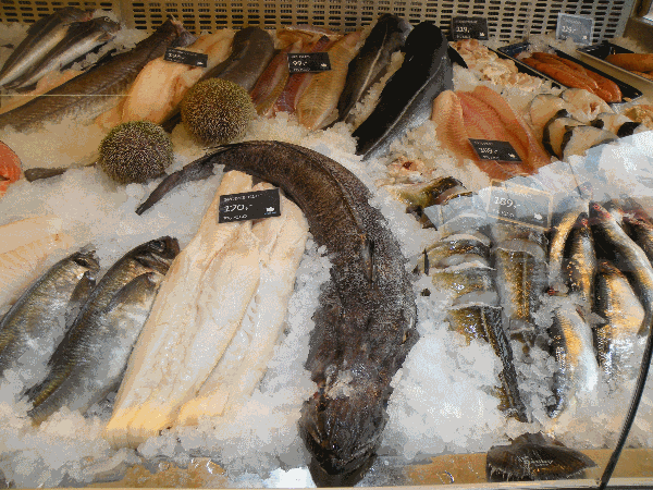 Fish Market Offerings