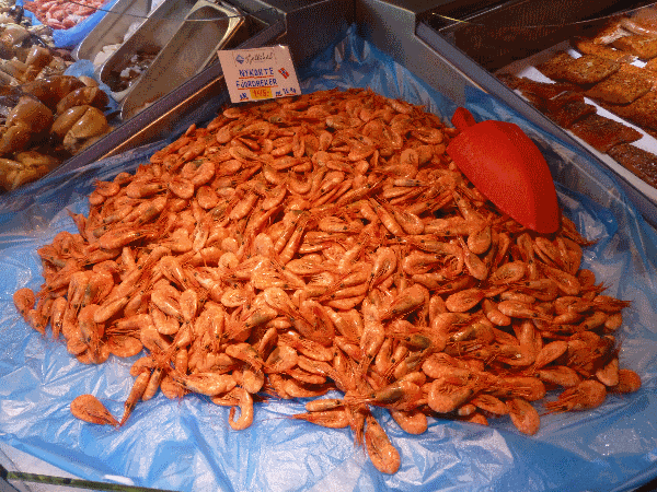 Fresh-caught shrimp at the Bergen Fish Market