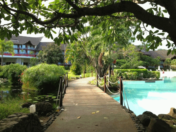 Le Meridien Botanical Garden And Pool