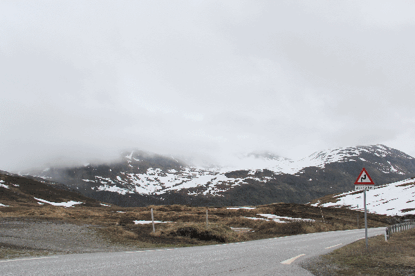 Fog in Norway Photo by Jeff Greif