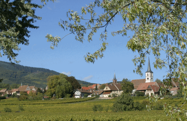Mittelbergheim