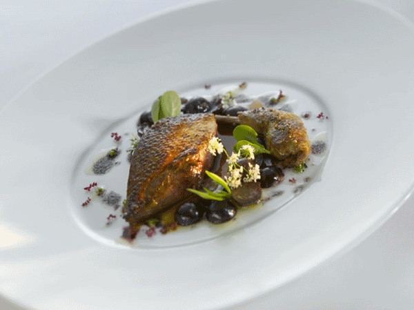 Roast Mieral Excellence Pigeon, Fresh Hazelnut and Muscat Grape in Elderberry Cordial