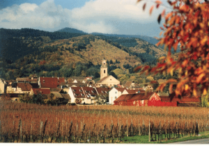 Experiencing Wine In Alsace France