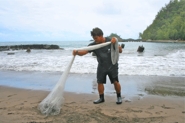 net fishing maui