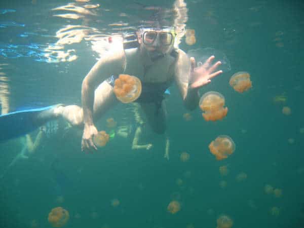 Jellyfish Lake, Rock Islands, Palau (photo by Miyuki Takizawa)