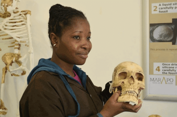 Skulls at the Cradle of Humankind