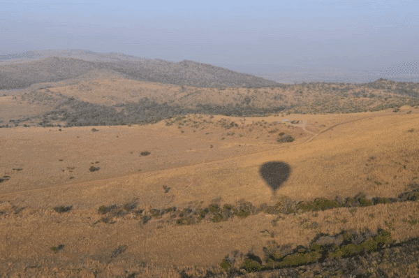 balloon safari