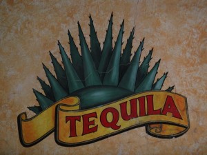 Drinking Tequila at the Source