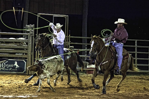 Rodeo at the Westgate River Ranch. 