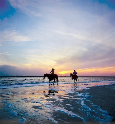 Horseback Riding at Amelia Island