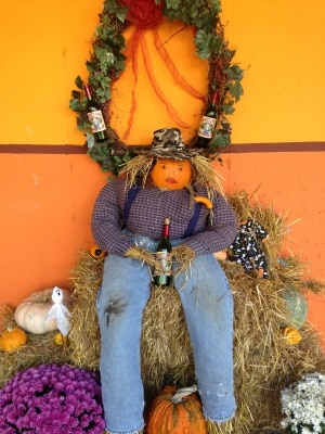 Scarecrow at Buddy Boy's Winery