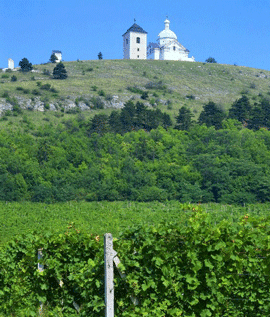 Mikulov Chapel and Vineyard