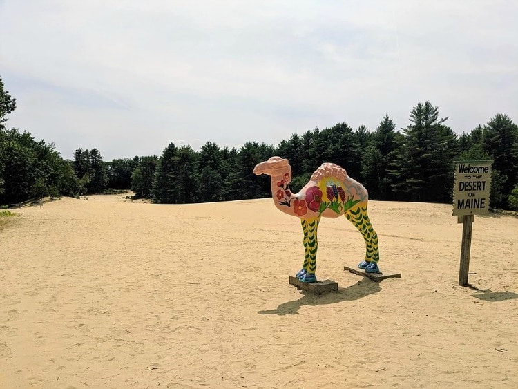 The Desert of Maine on an Offbeat New England road trip for TravelSquire