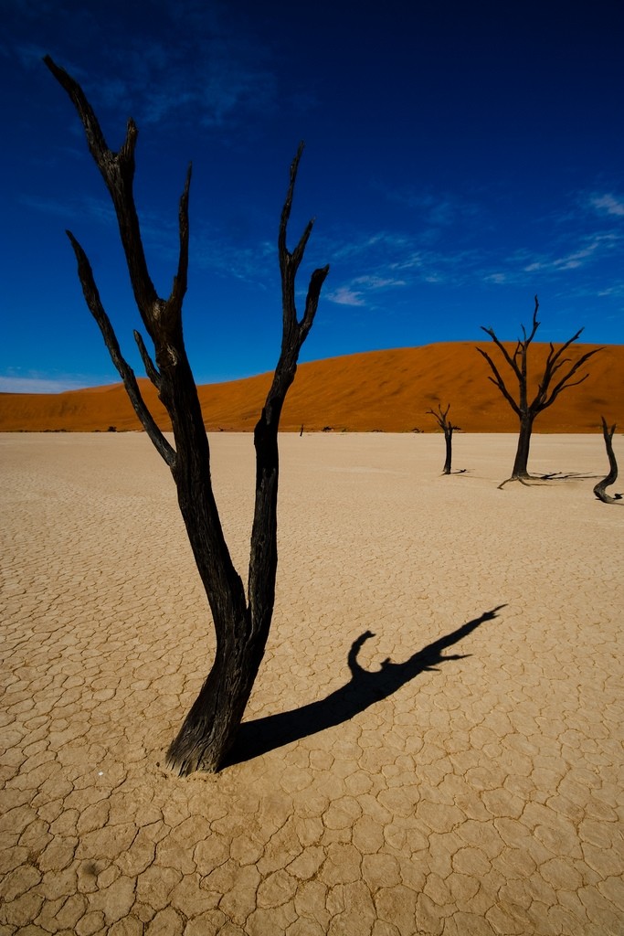 Namibia. Photo Credit Eric Montfort