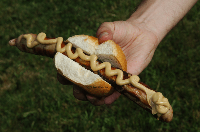 Famous Thuringia Bratwurst
