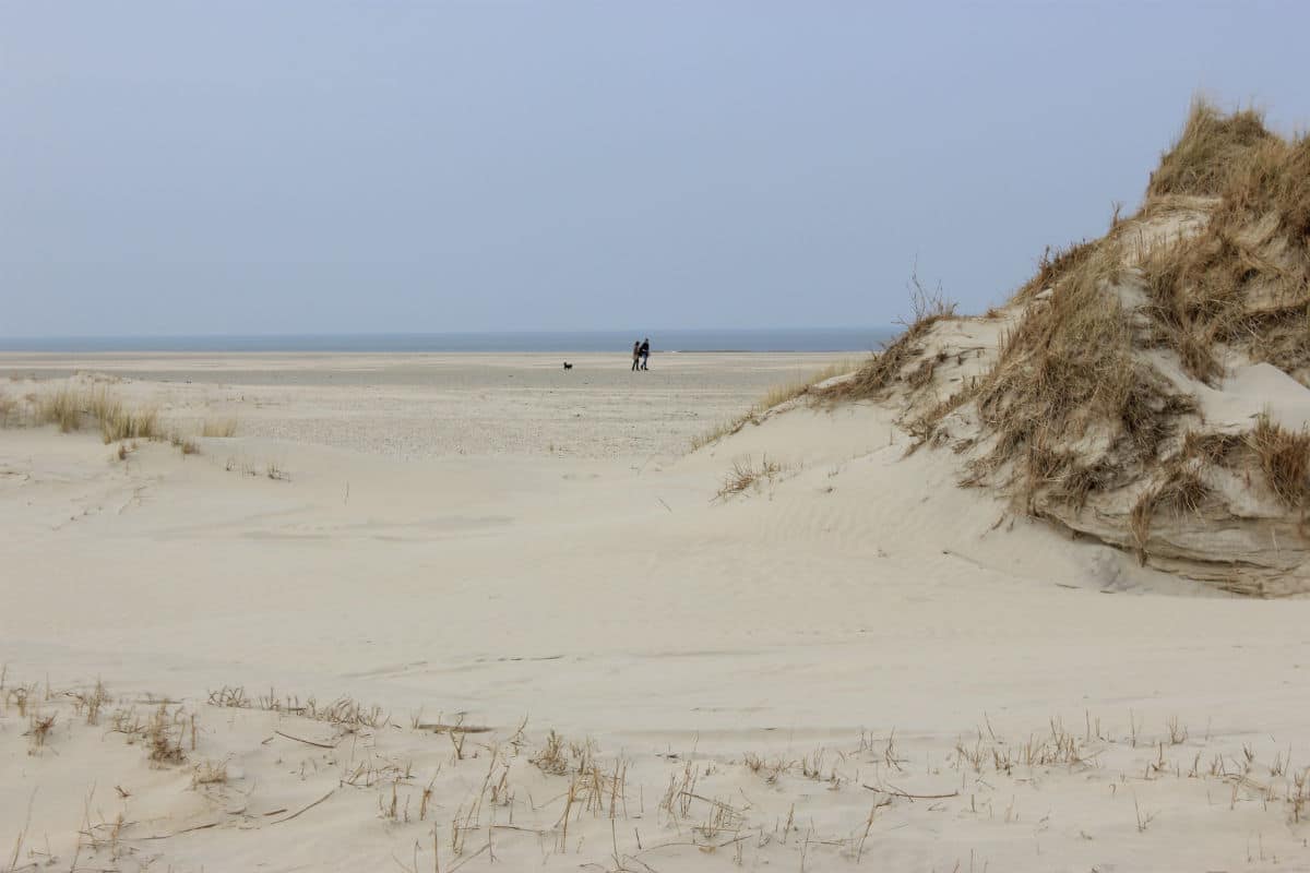 The Dunes, Nordeney