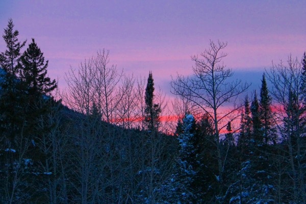 A snow covered forest at sunset in Quebec Maritime