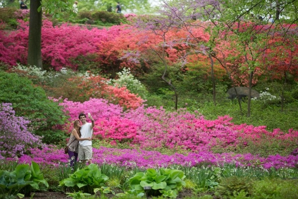 Strolling the Flowered Landscapes at New York Botanical Garden - TravelSquire