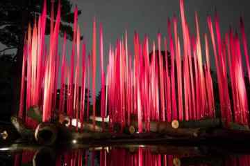 Chihuly: Red Reeds on Logs at New York Botanical Garden 2017 - TravelSquire