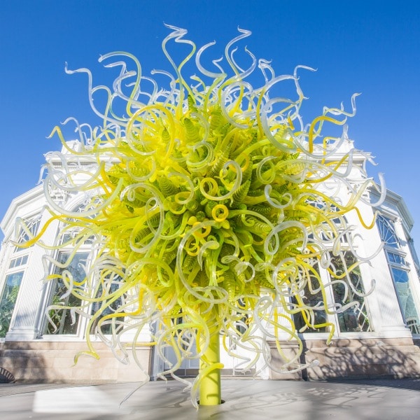 Chihuly's Sol de Citron at New York Botanical Garden 2017 - TravelSquire