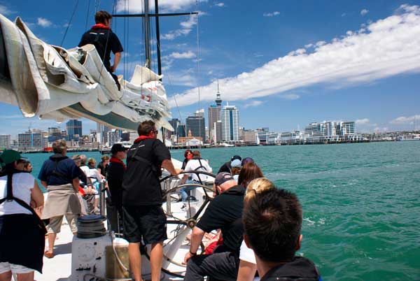 Americas Cup sailing auckland