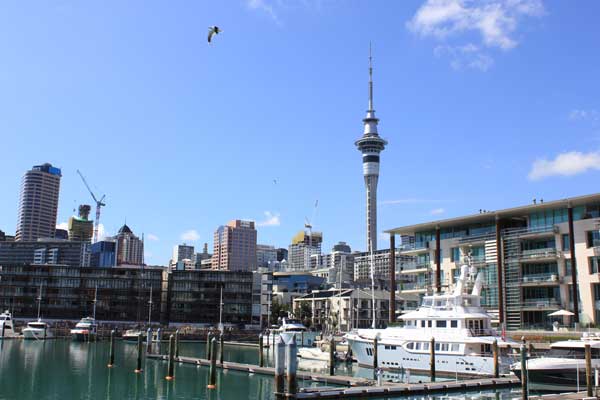 Viaduct Harbor auckland