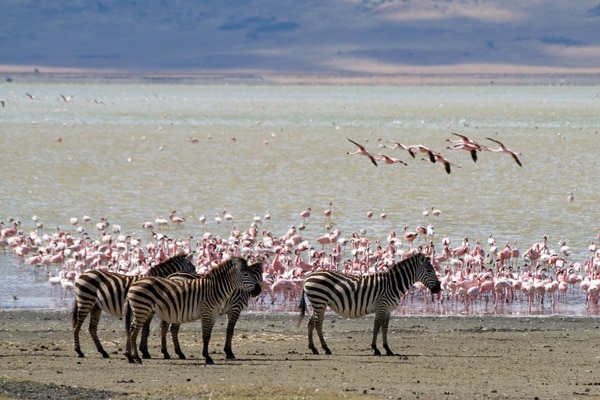Tanzania top 28 explorations and adventure destinations
