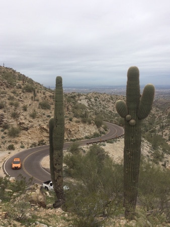arizona cactus outdoor adventures