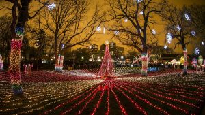 Zoo lights is one of Chicago's exhibits for the holidays