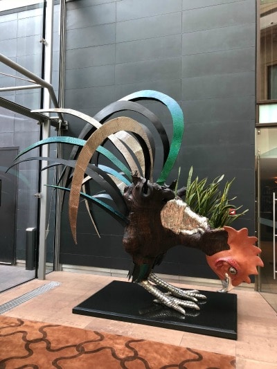 The Rooster has landed at Radiisson Blu Edwardian Hotel Manchester