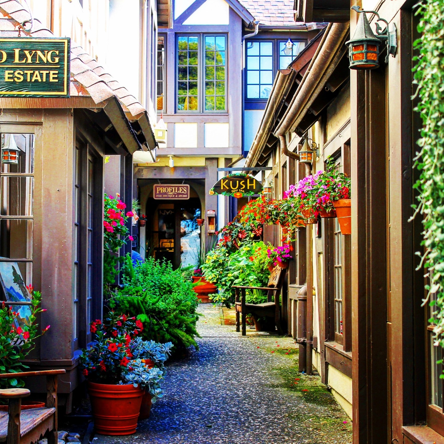 Discovering Carmel-by-the-Sea on TravelSquire