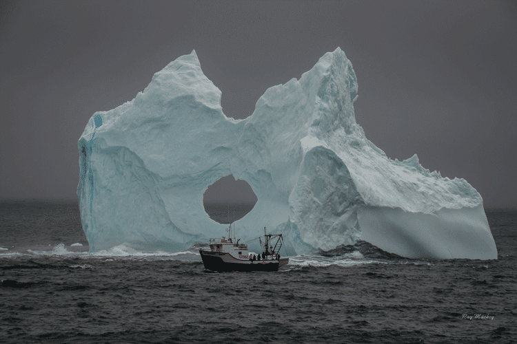 Iceberg-at-Renews-Cappahayden