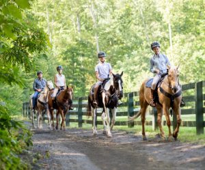 Omni Homestead Virginia's traditional resort and spa on TravelSquire.com